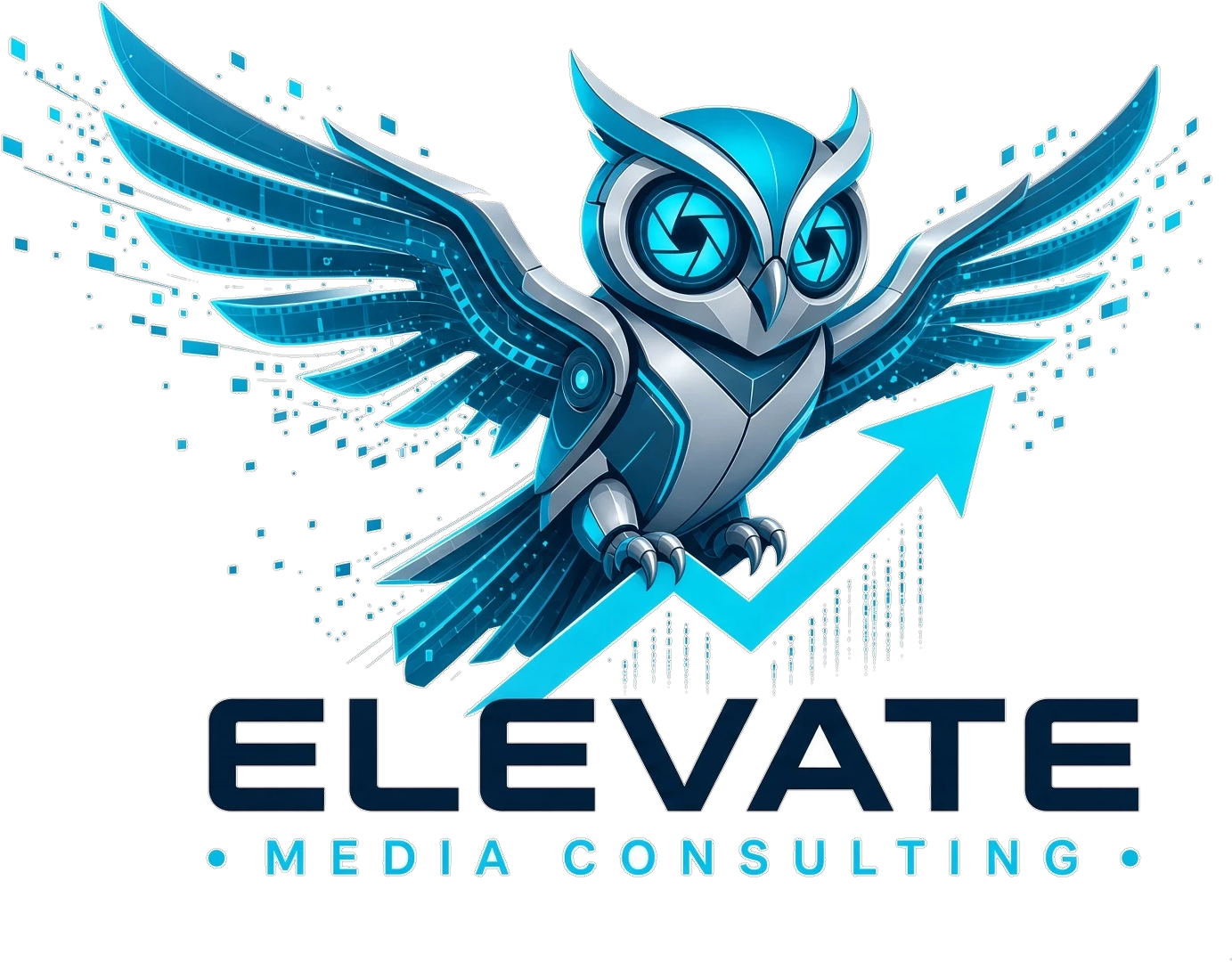 Elevate Media Consulting